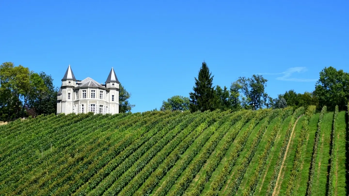 Bizanos - les hauteurs de Franqueville -  en bas des vignes