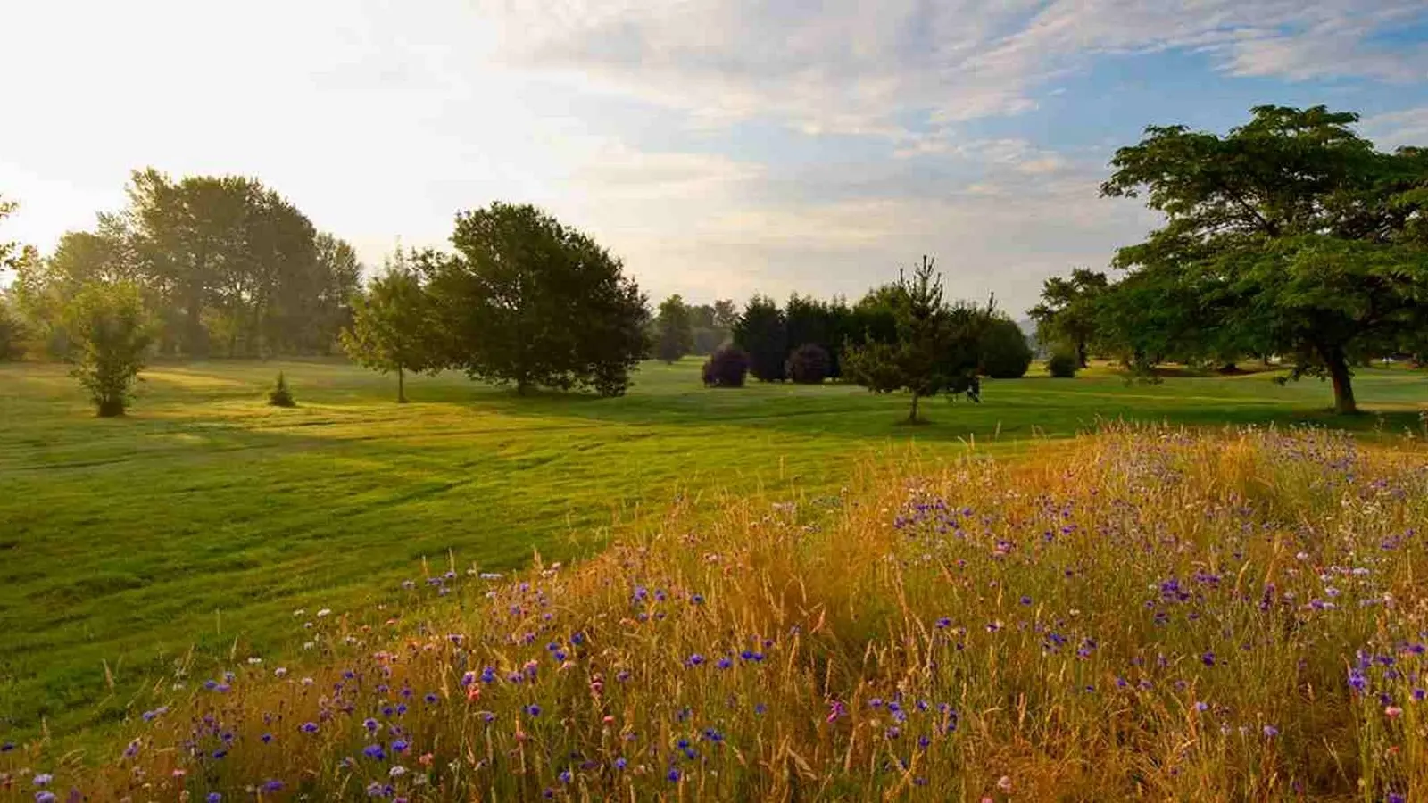 Golf Blue Green - Artiguelouve