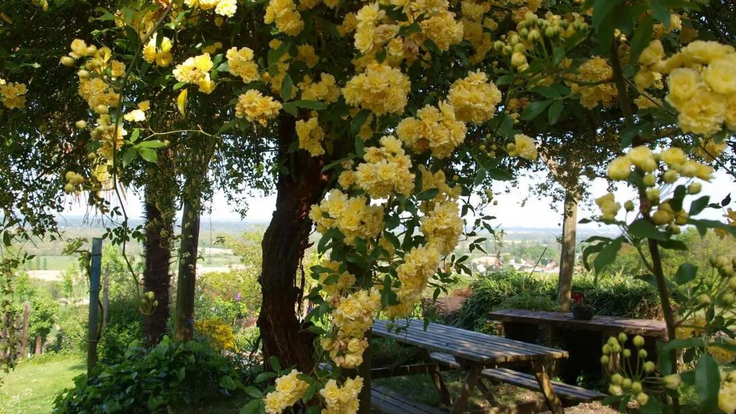 Gîte biscar - Arbus  - jardin