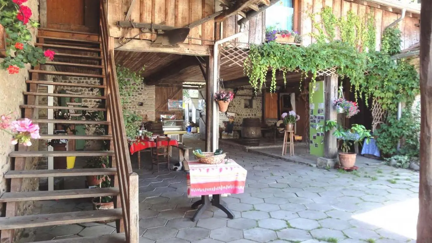 Gîte biscar - Arbus - terrasse couverte