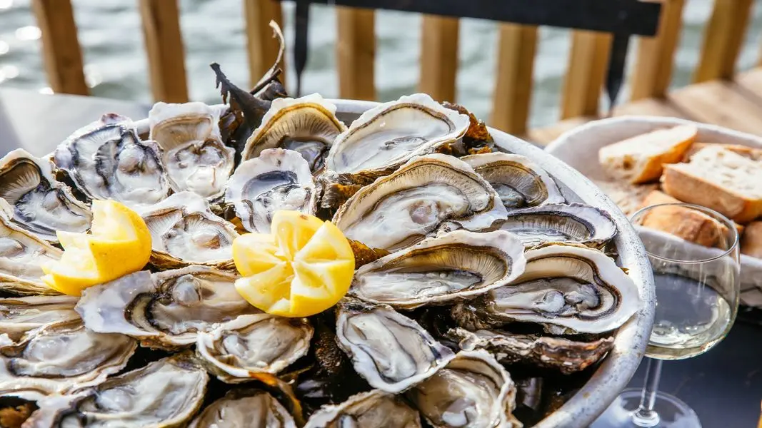Plateau d'huitre