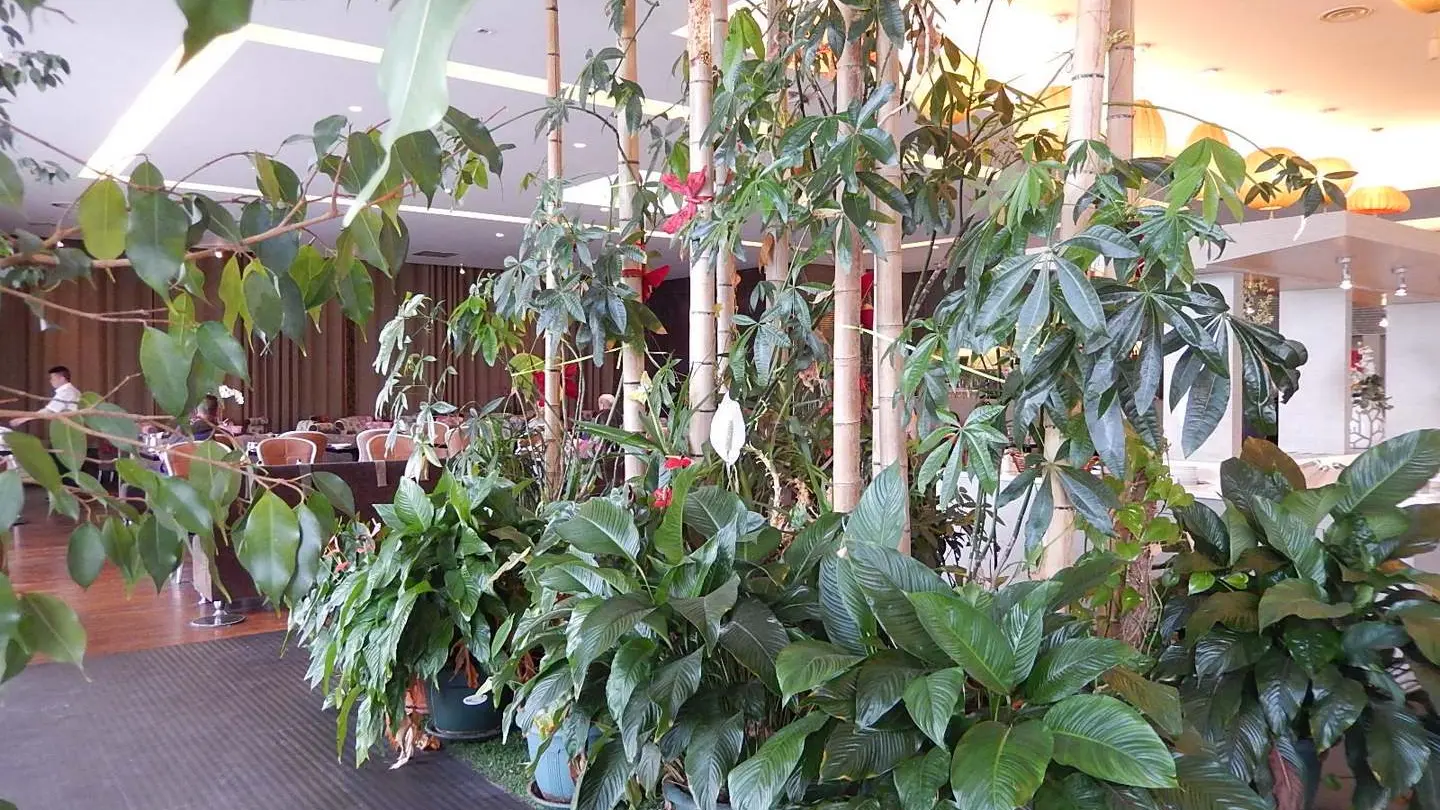 Restaurant Au Grand bonheur - Lons - entrée