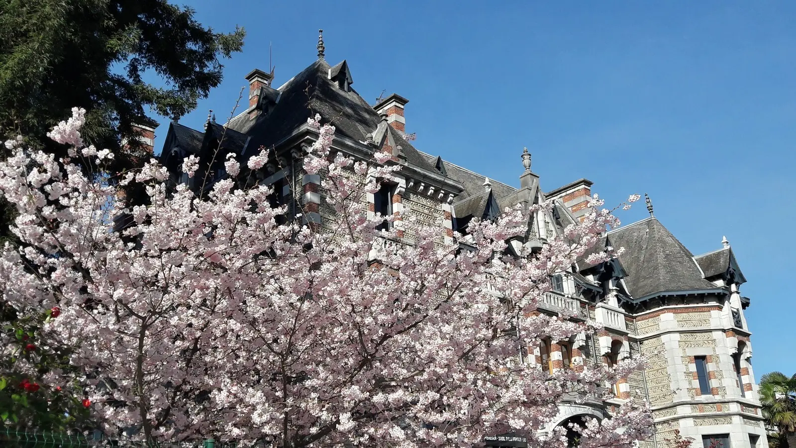 Jardin de Kofu - Pau - Villa Nitot