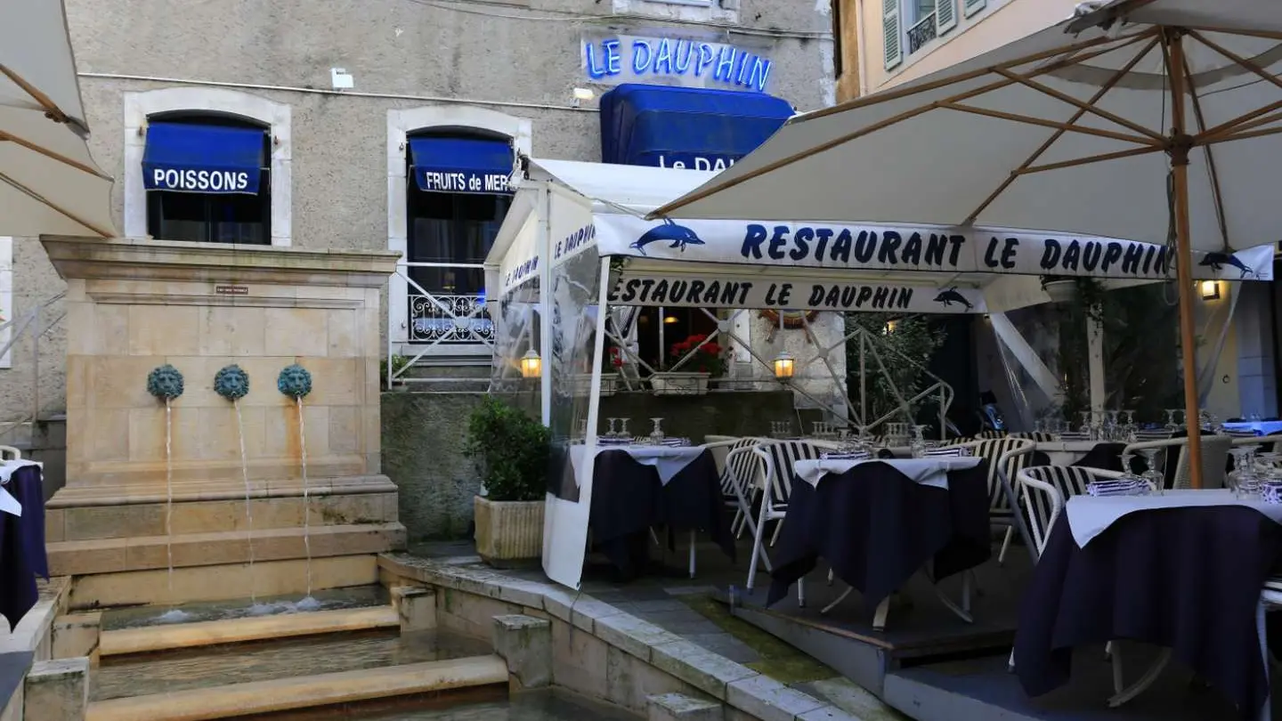 Restaurant Le Dauphin - Pau - terrasse