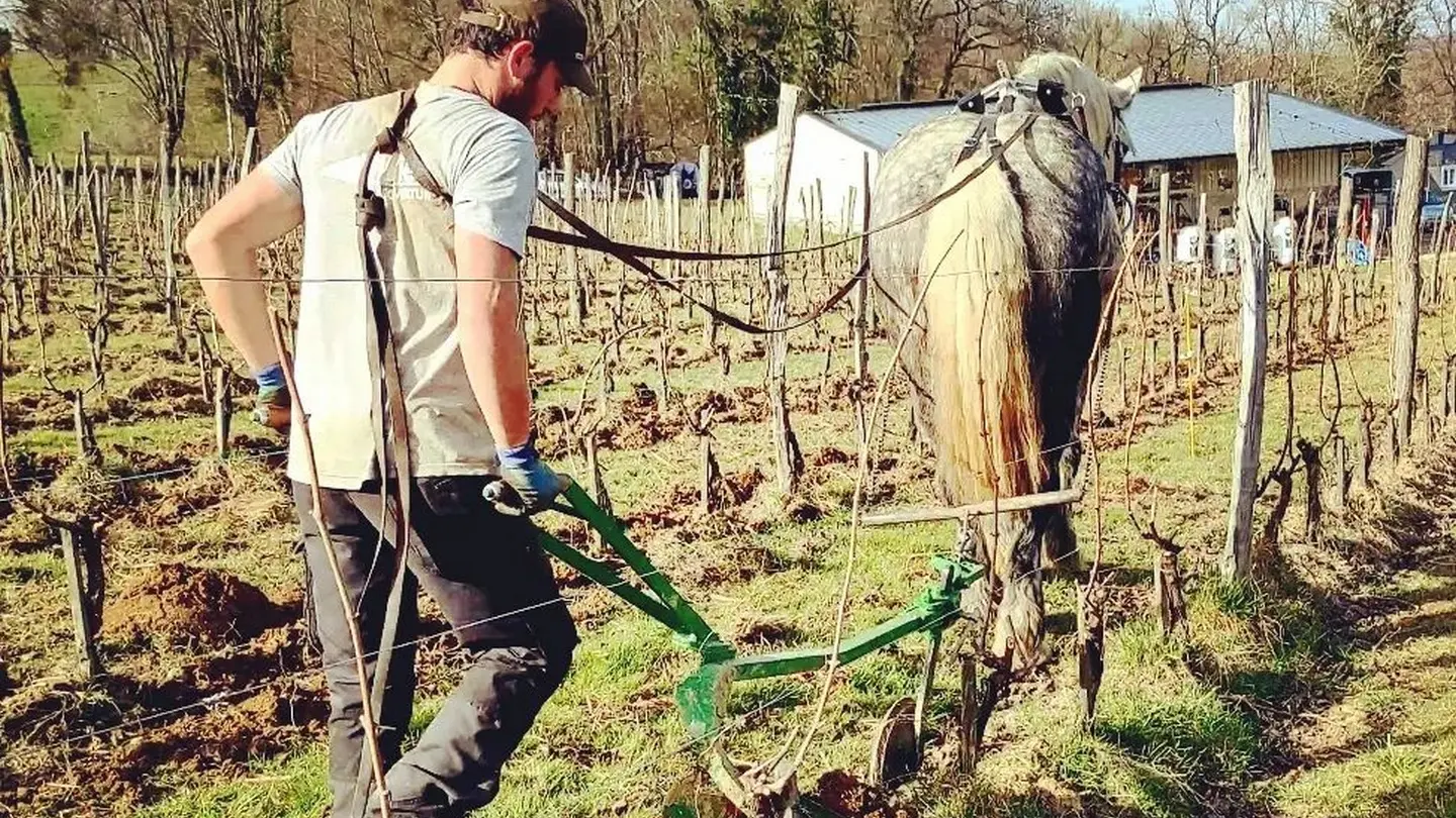 Clos Larrouyat - Gan - labourage