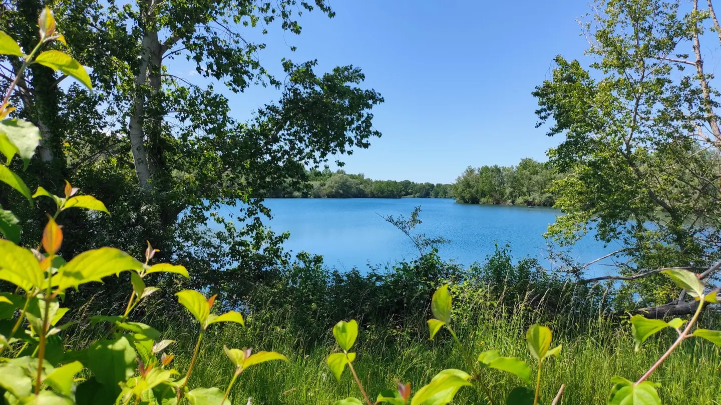 lac 2
