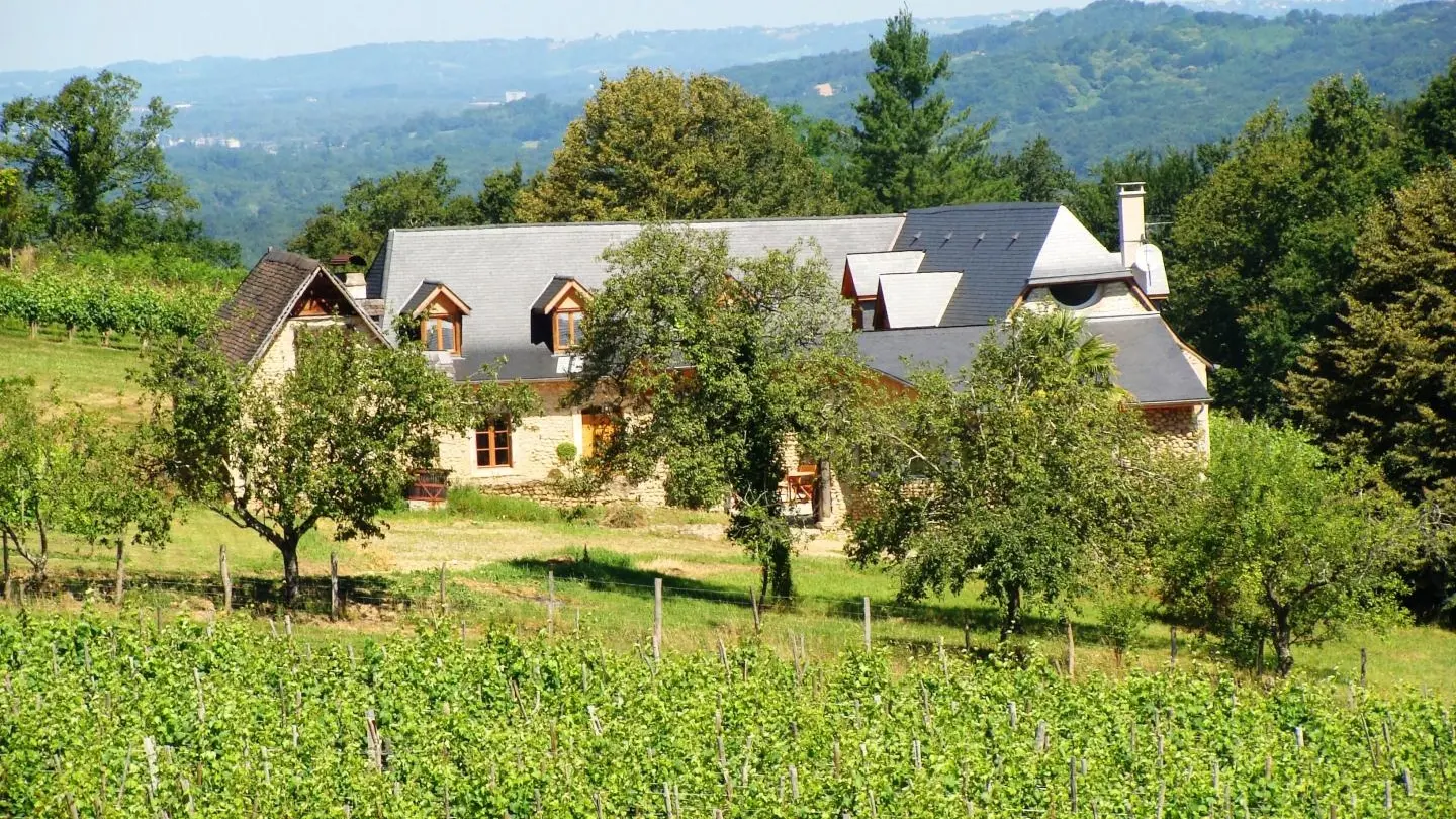 Meublé Causit - Aubertin - le jardin