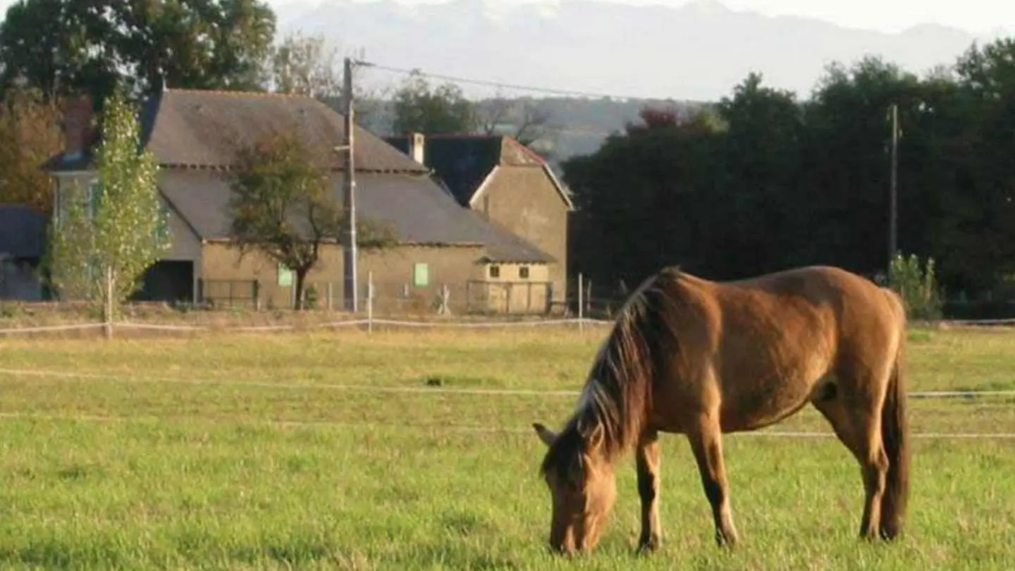 Lo Casau - Artigueloutan - Pré