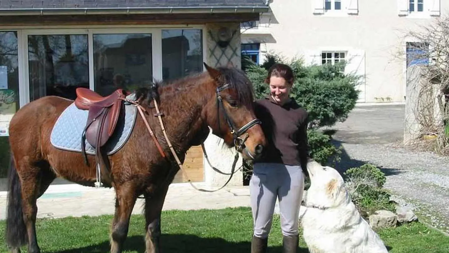 Lo Casau - Artigueloutan - Cheval et chien