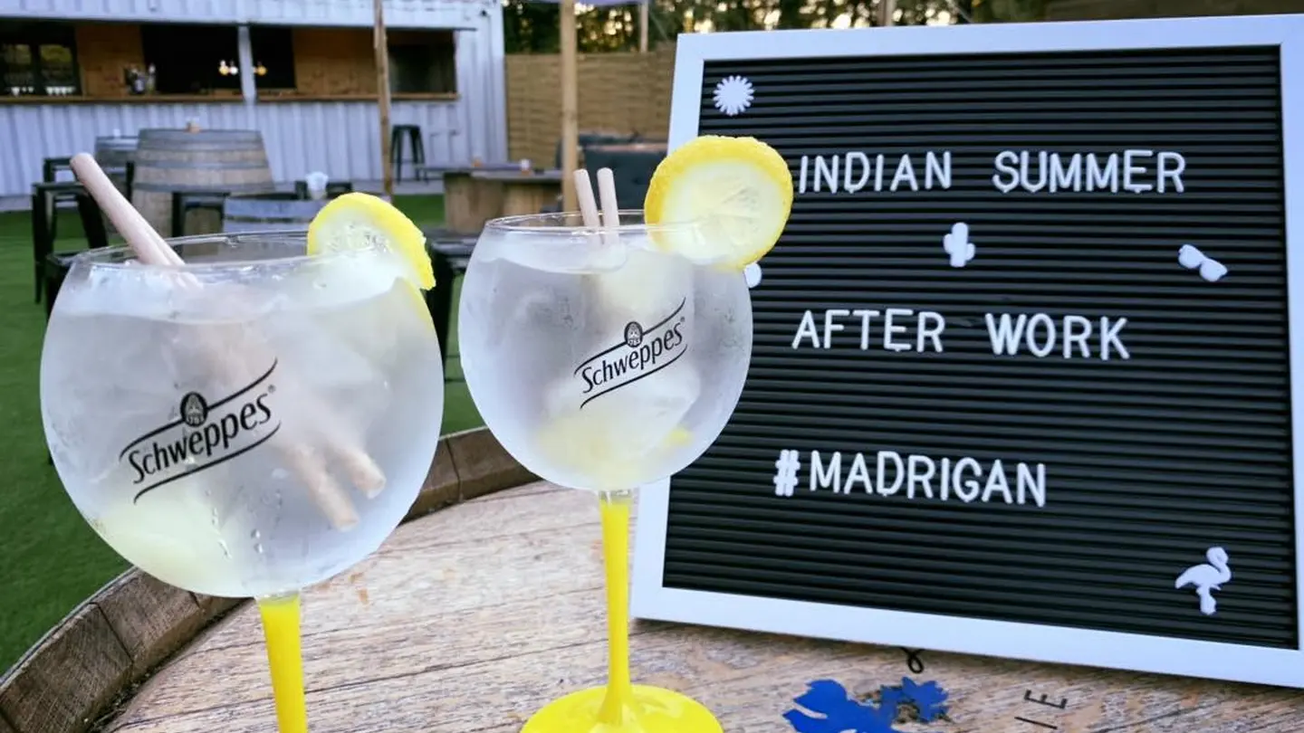 Restaurant Le Madrigan - Pau - gin tonic