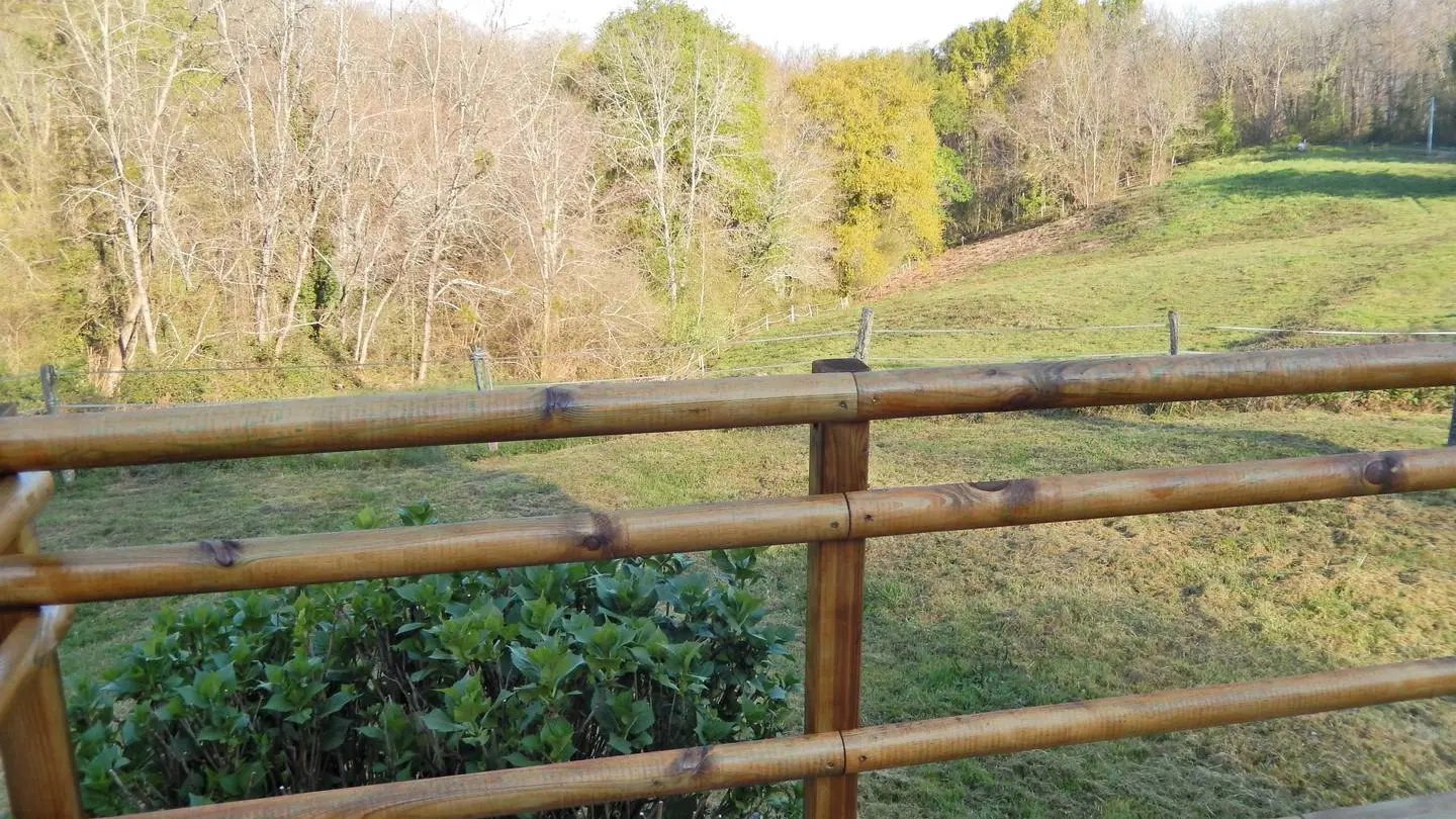 Meublé Paillé - Artiguelouve - terrasse