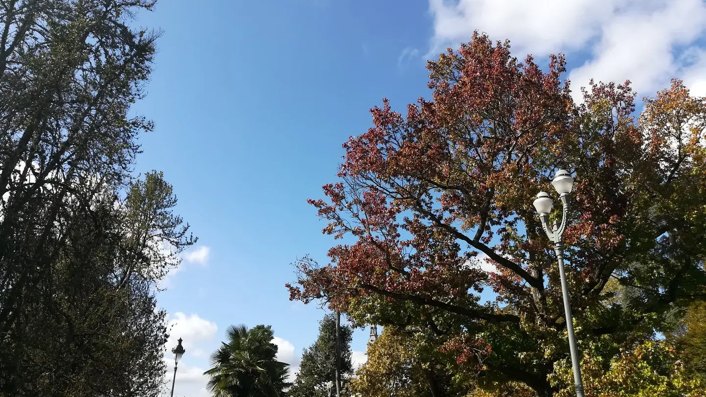 Parc Beaumont - Pau - vue d'ensemble