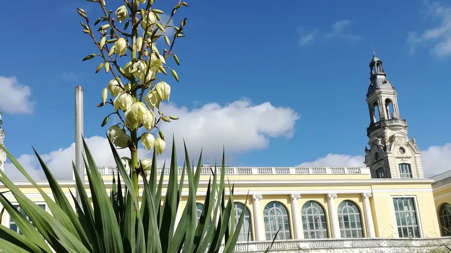 Parc Beaumont - Pau - le Palais beaumont