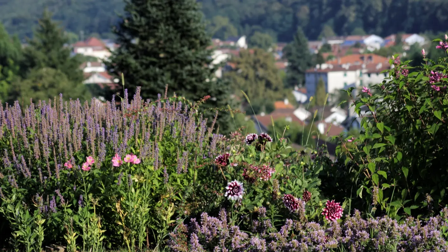 Parc Beaumont - Pau - massifs de fleurs