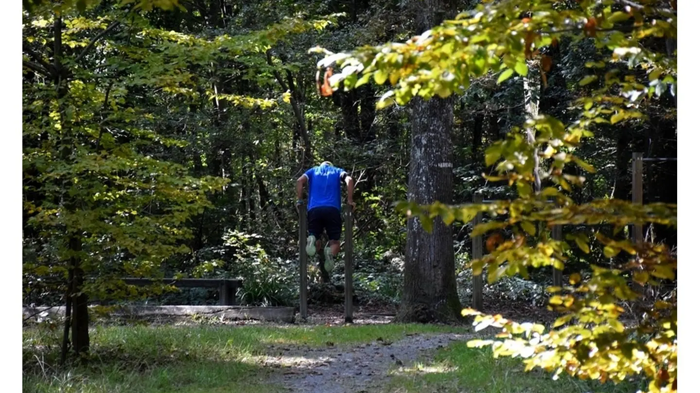 Forêt domaniale de Bastard - Pau - Parcours sportif