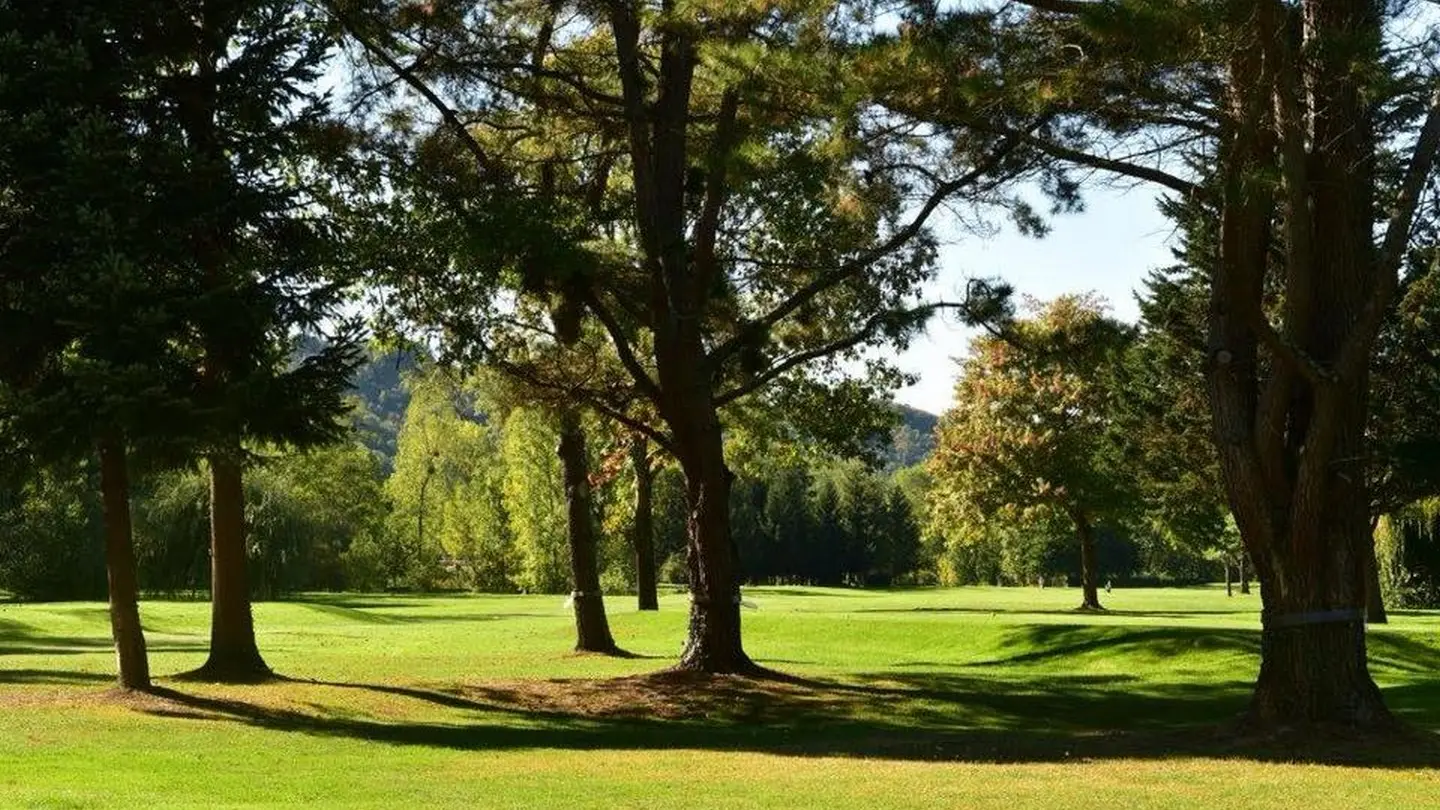 Pau Golf Club - Billère - green