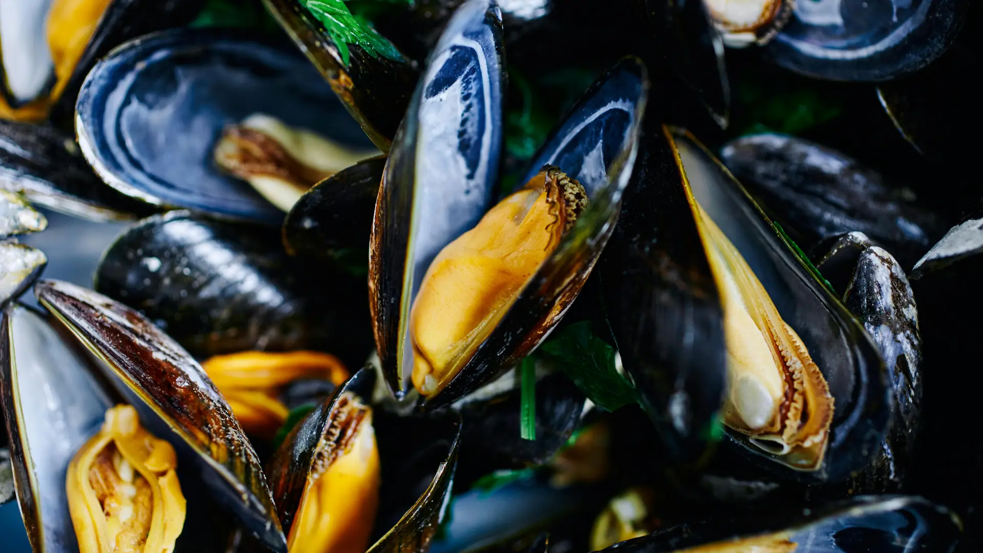 pexels-electra-studio-32883186-30648986