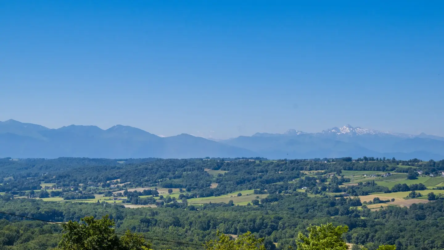 photo-rando-arbus-coteaux-du-bois-de-bas7