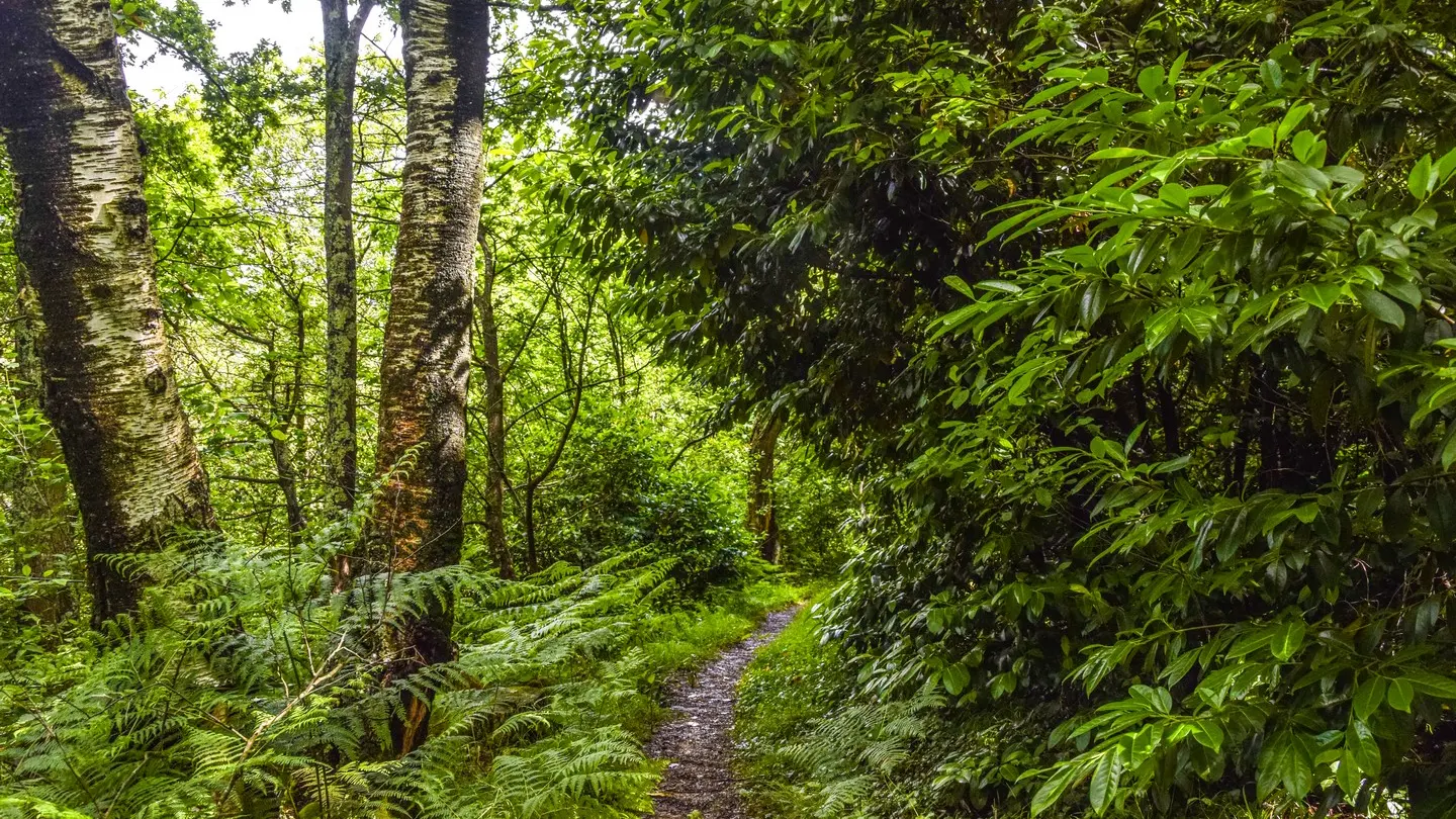 photo-rando-rontignon-sentier-des-cretes13
