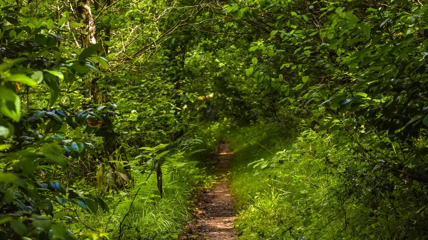 photo-rando-rontignon-sentier-des-cretes14