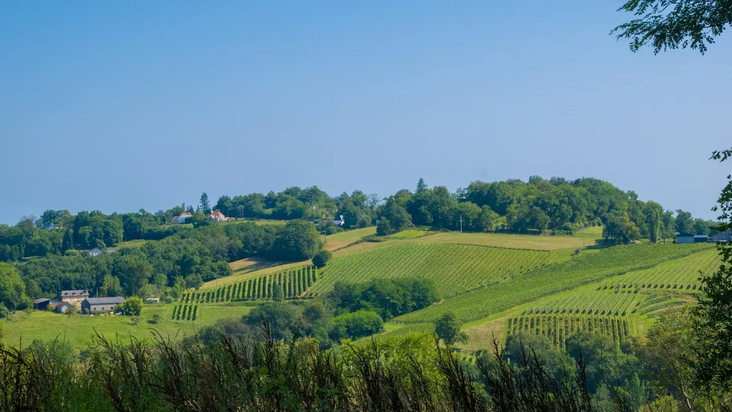 rando-pau-aubertin-de-la-helere-a-la-baise-10