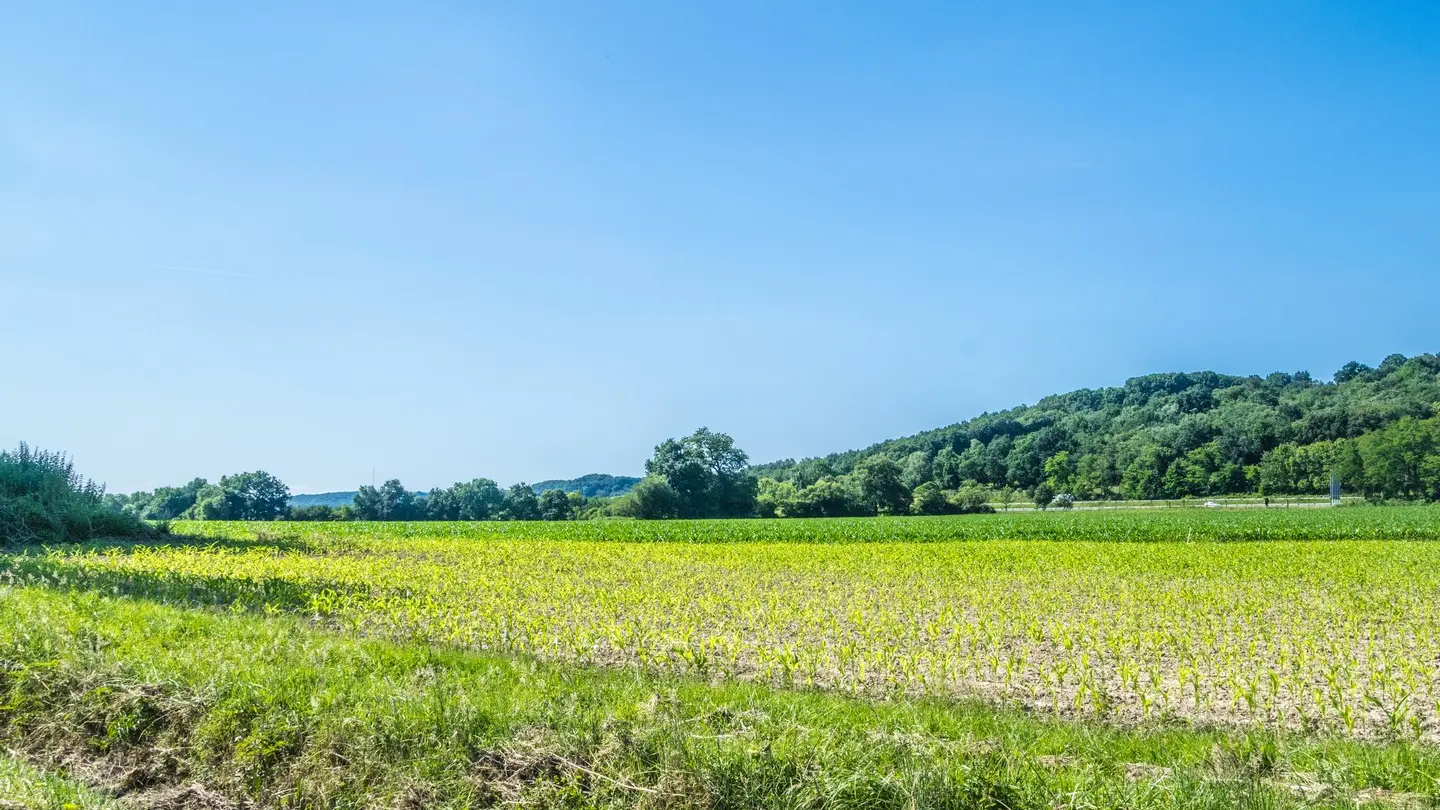 rando-pau-aussevielle-ligne-vielle-05