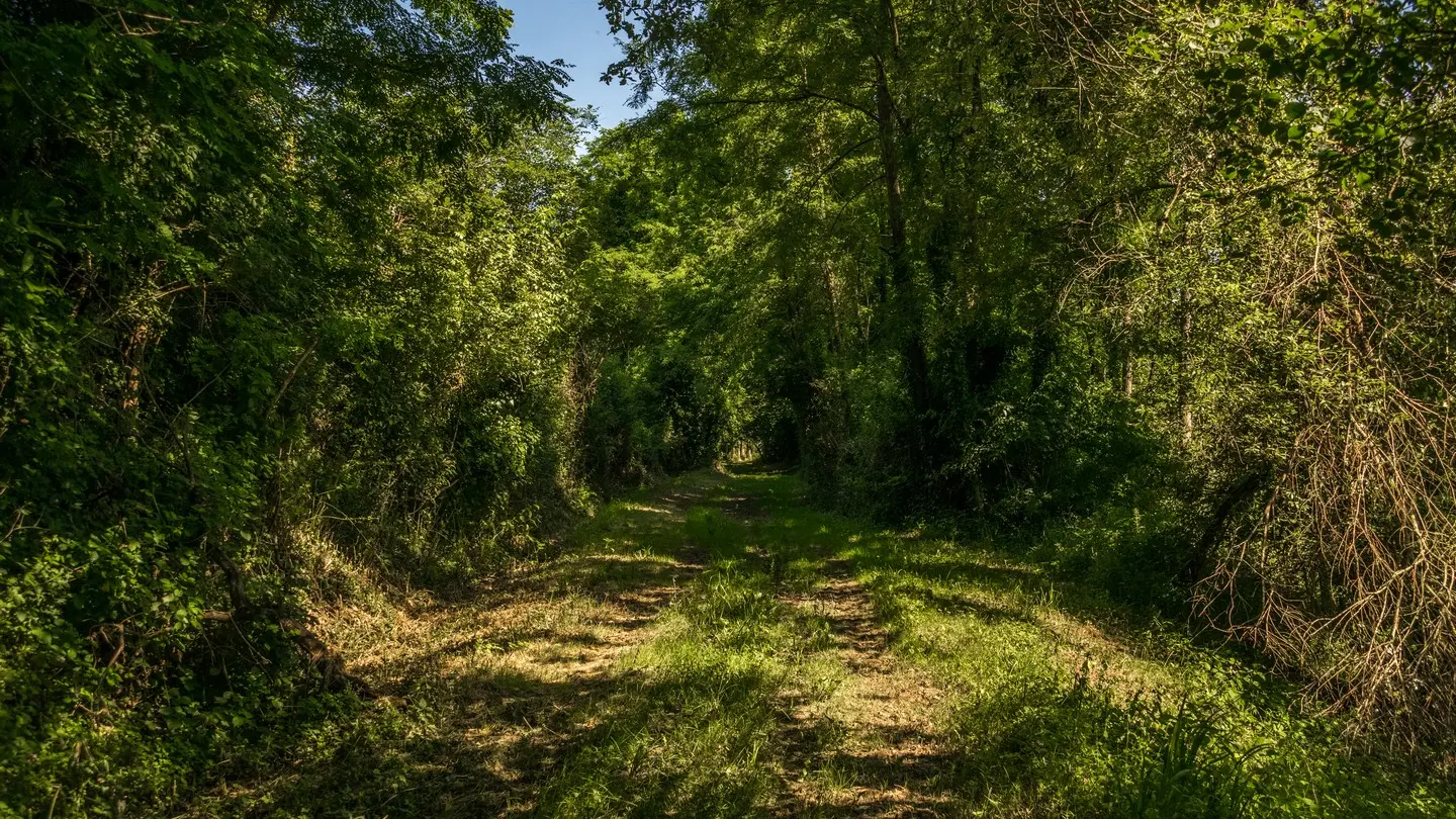 rando-pau-aussevielle-ligne-vielle-01