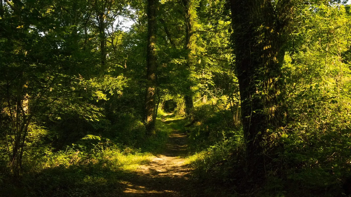 rando-pau-beyrie-promenade-autour-beyrie-04