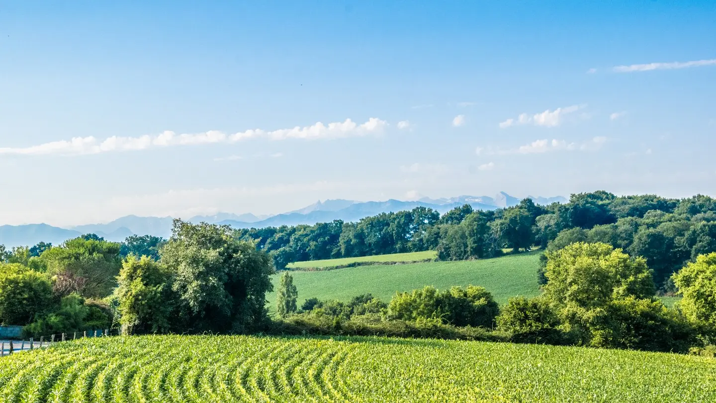 rando-pau-beyrie-promenade-autour-beyrie-02