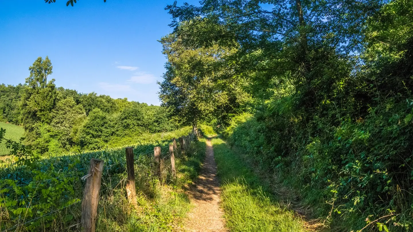 rando-pau-beyrie-promenade-autour-beyrie-03