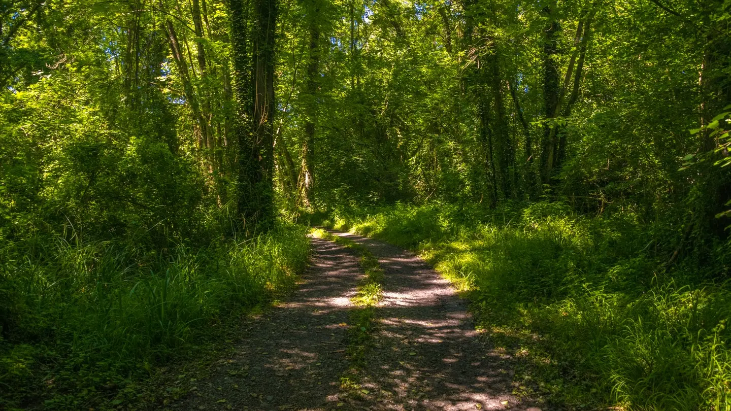 rando-pau-siros-memoire-saligue-05