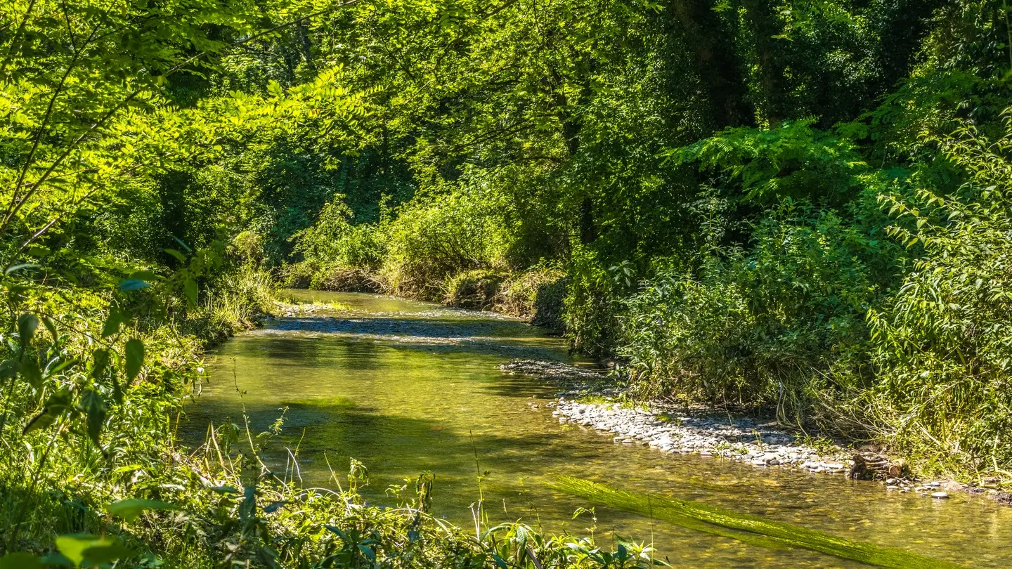 rando-pau-siros-memoire-saligue-07