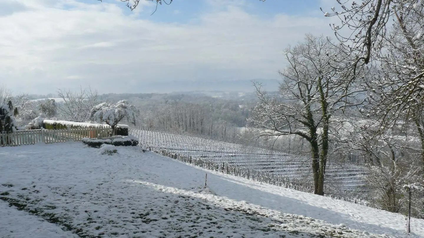 Domaine de Souch - Laroin - vignes enneigées