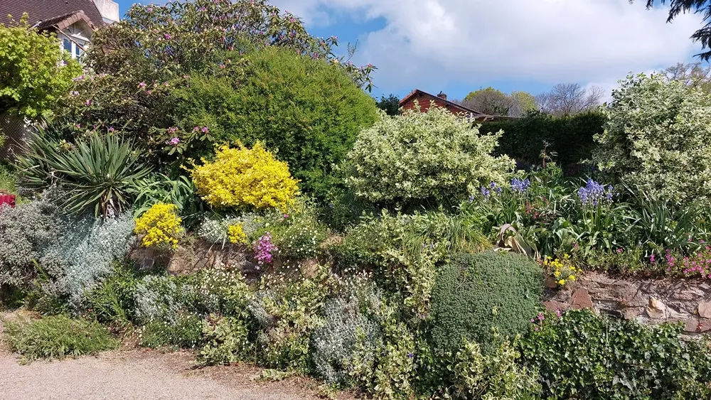 st cyr fleurs 2 M.Gourbat