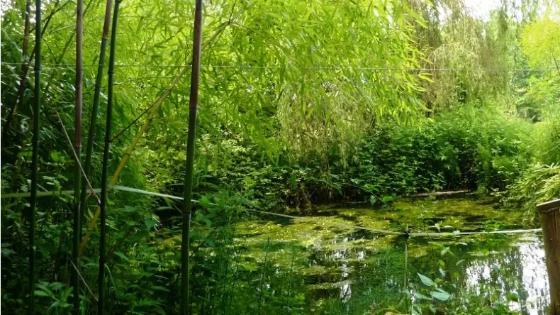 stgermaindebelves-lac