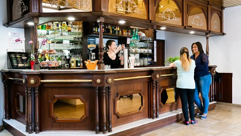 Lourdes hôtel Hélianthe Bar