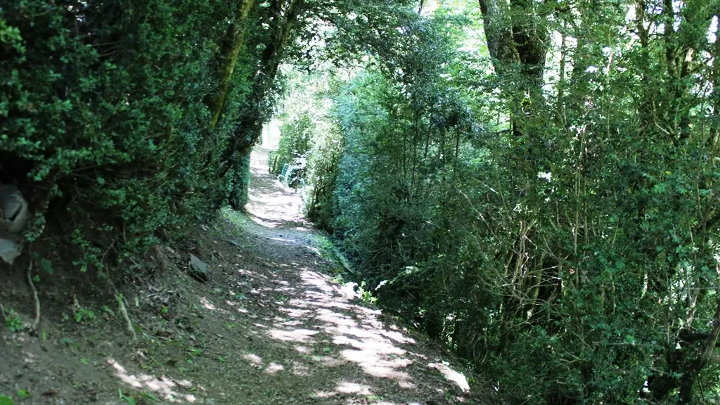 ©C.Périssé_Chemin des Buis_IMG_2097 web