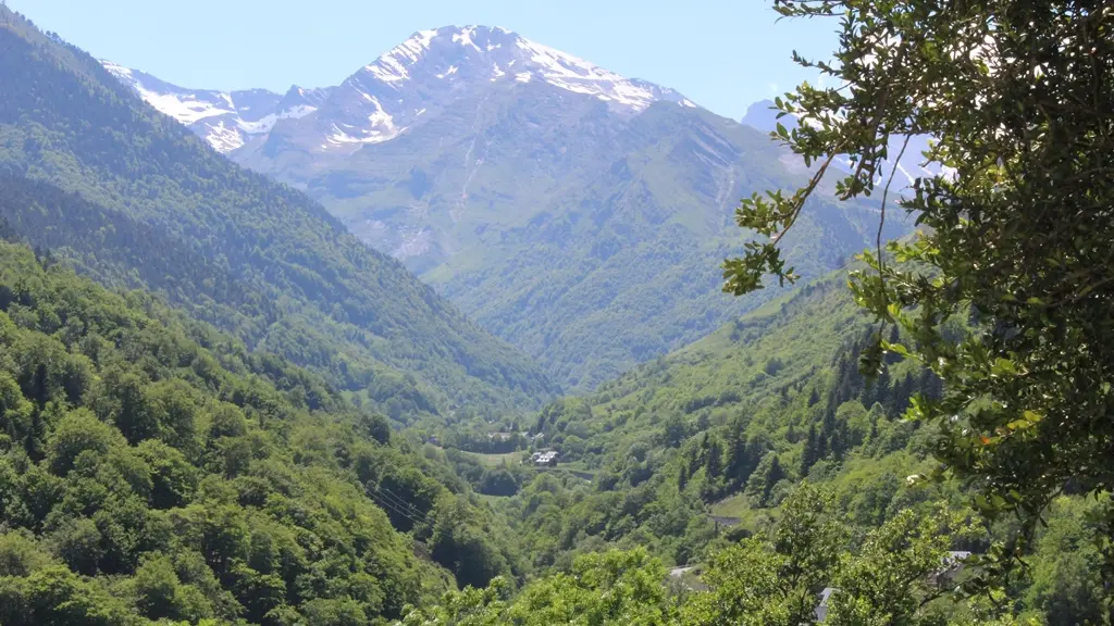 ©C.Périssé_Chemin des Buis_IMG_2119 web