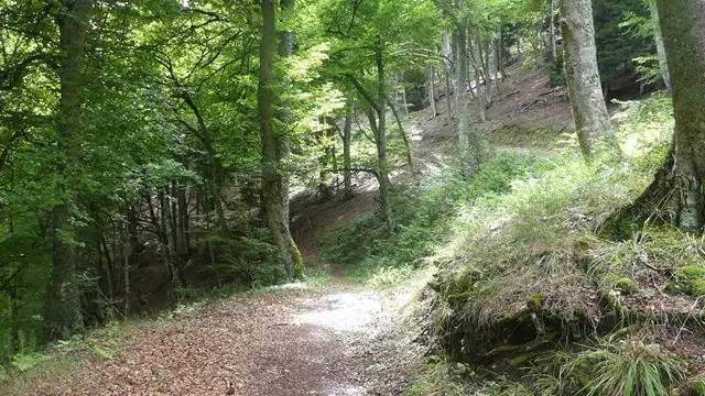 ©V.Bleuler Des granges de Lias à Soulan-2 WEB
