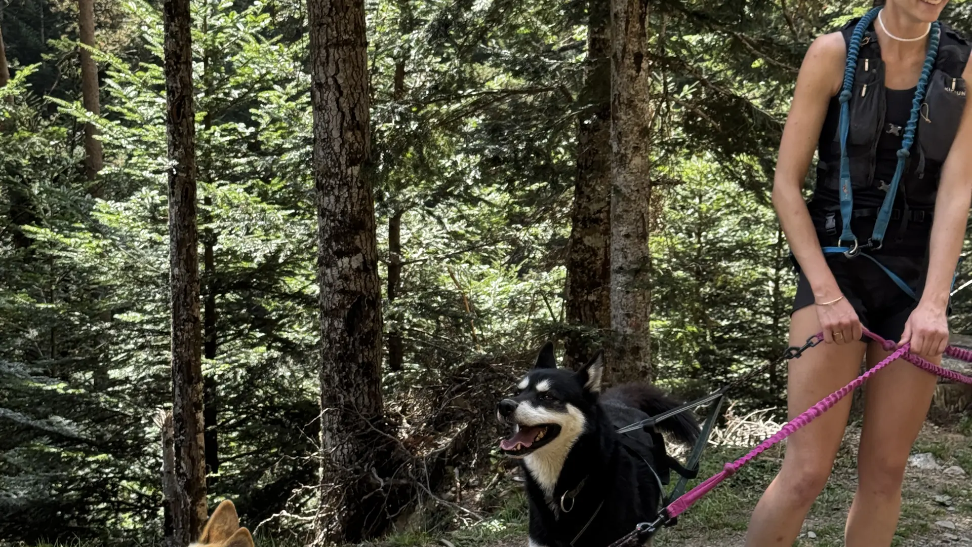 ©cperisse- cani-rando la fille aux loups (35)