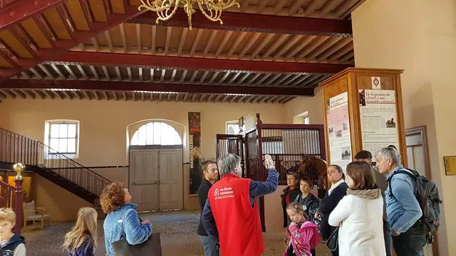 Visite guidée du Haras de Tarbes