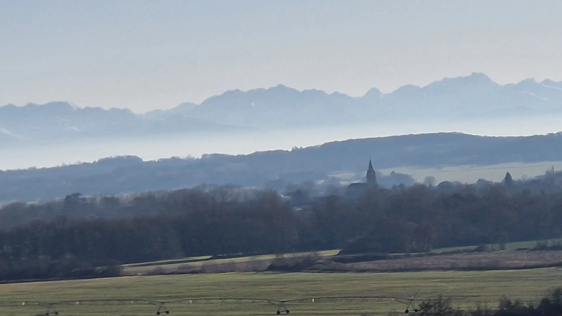 Animaux&paysages _2