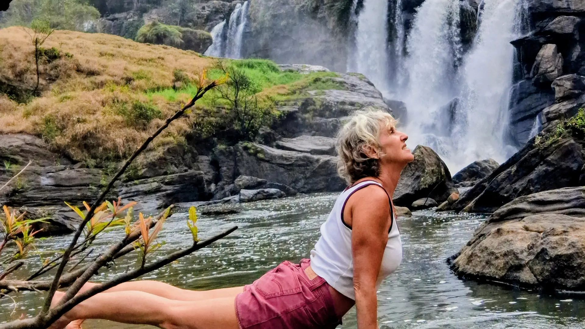 Asana ouverture