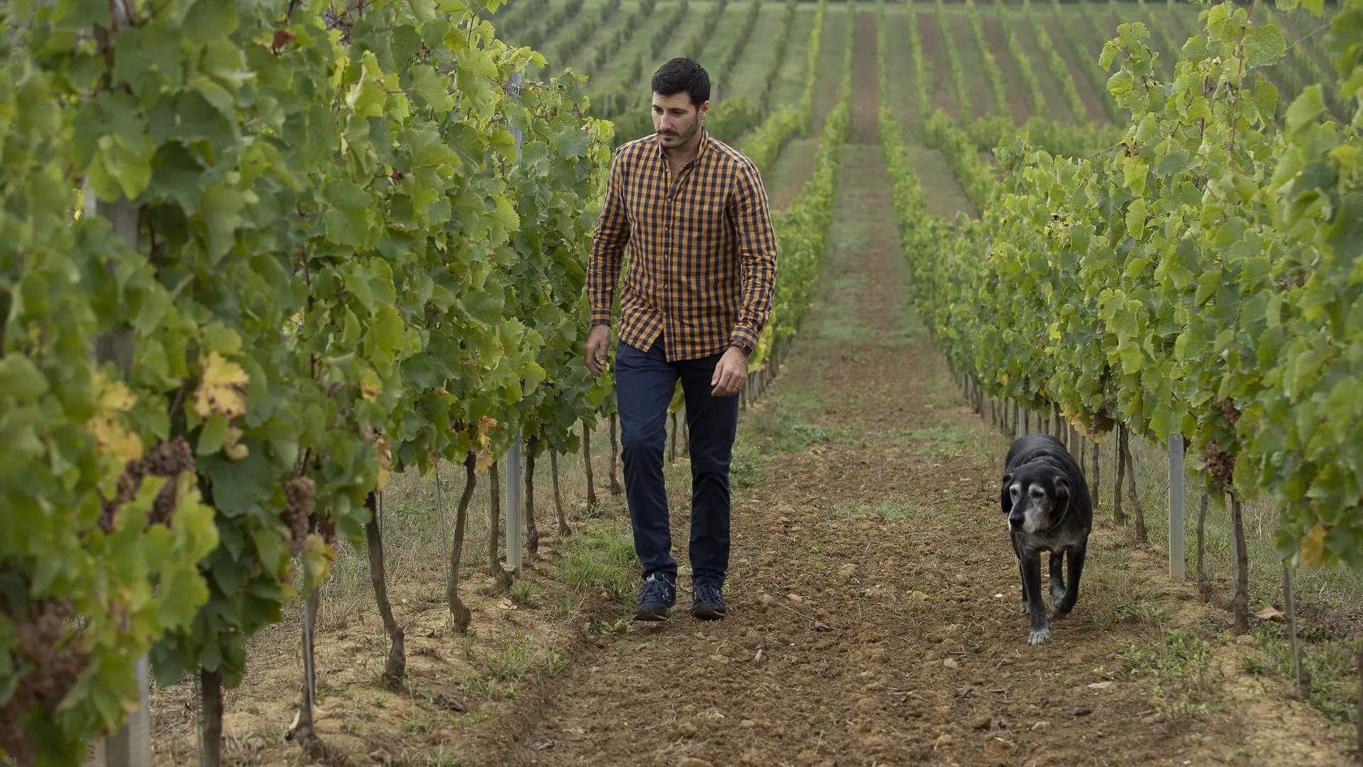 Vigneron @Chateau Pouey