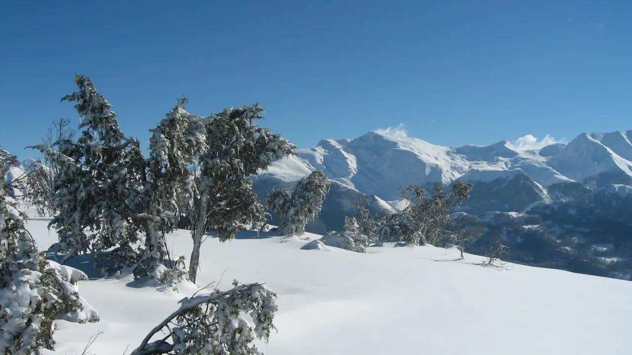 BUREAU MONTAGNE VALLEES DE GAVARNIE