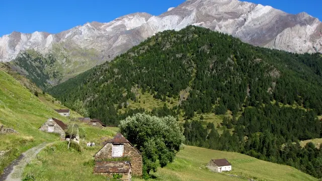 BUREAU DES GUIDES ETE RANDO