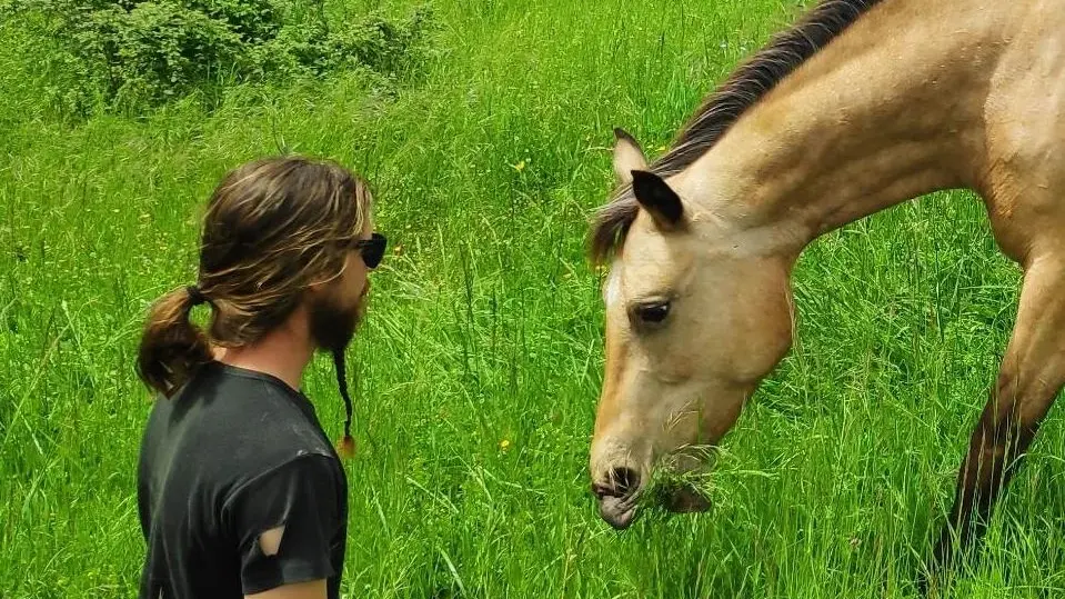 Balade à cheval©Halte de d'Artagnan (6)
