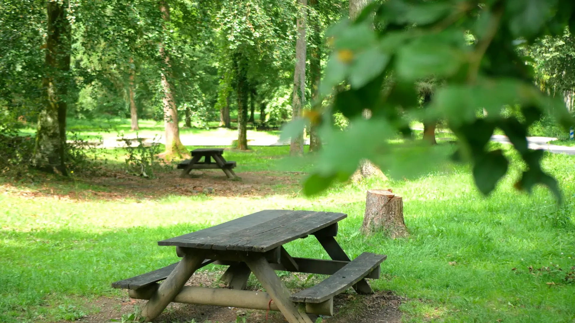 Bois de Lourdes table de pique-nique 2023