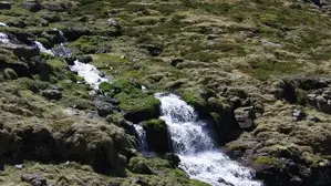 CASCADE CATCHET