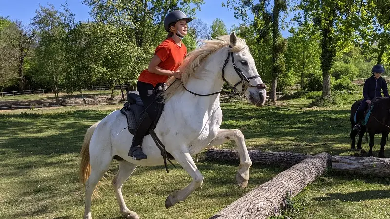 Centre Equestre Ferme Artigues - Saut d'obstacle